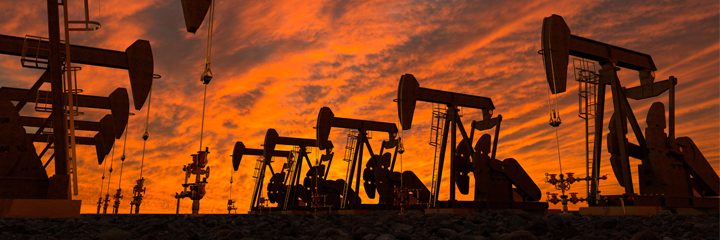 Raiffeisen Commodity Fund Raiffeisen Commodity Fund