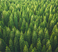 Raiffeisen ESG Short Bond Fund of Funds